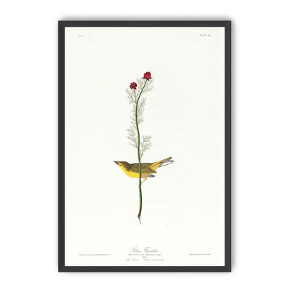 A yellow bird beneath red blooms