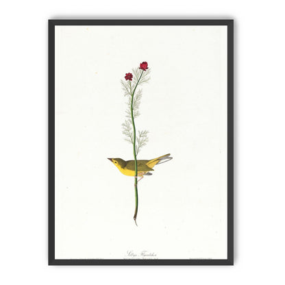 A yellow bird beneath red blooms