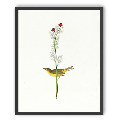 A yellow bird beneath red blooms