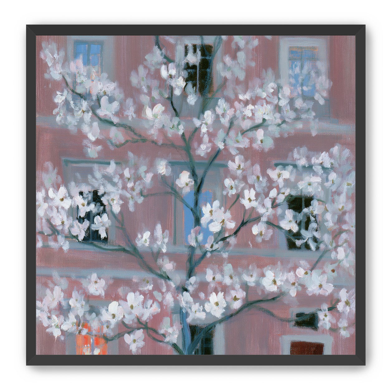 White blossoms against the pink house