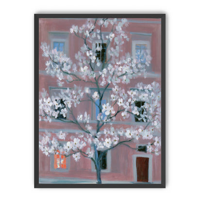 White blossoms against the pink house