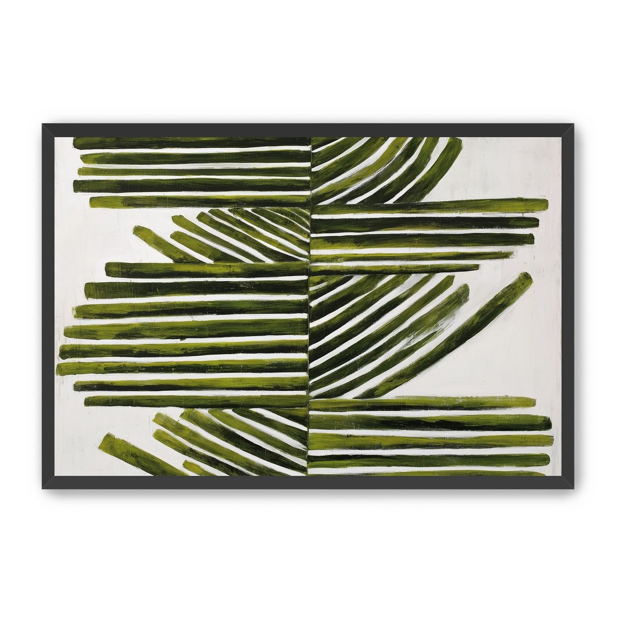 Olive bands with arcs