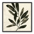Charcoal leaves on ivory paper