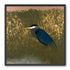 Heron among the reeds