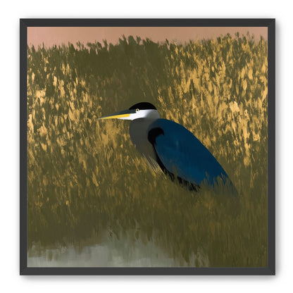 Heron among the reeds