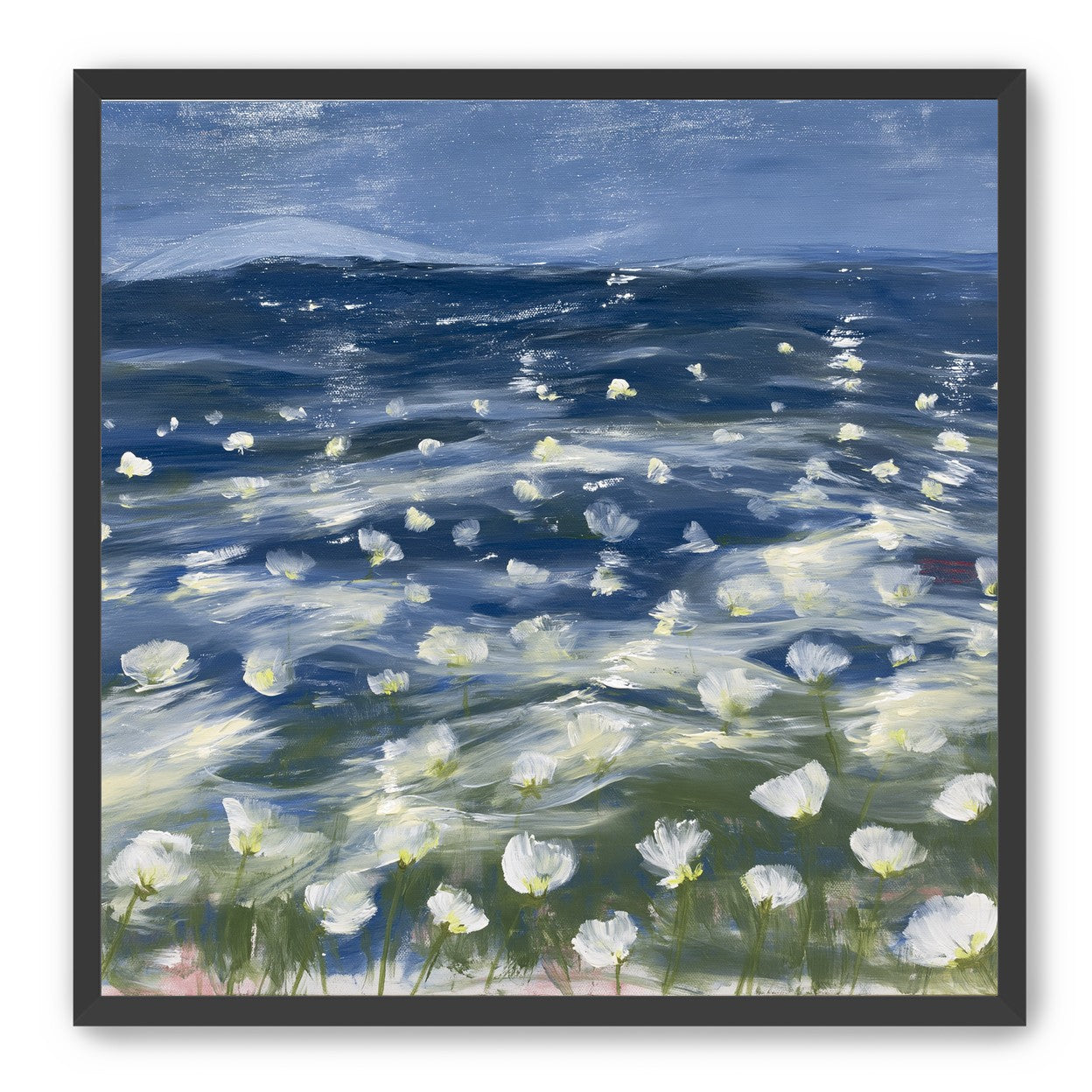 White flowers under blue sky