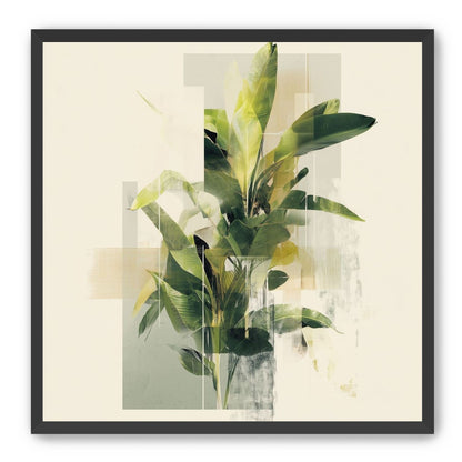 Plant in layered light