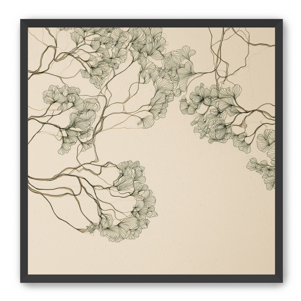 Trees Drawn in Continuous Lines