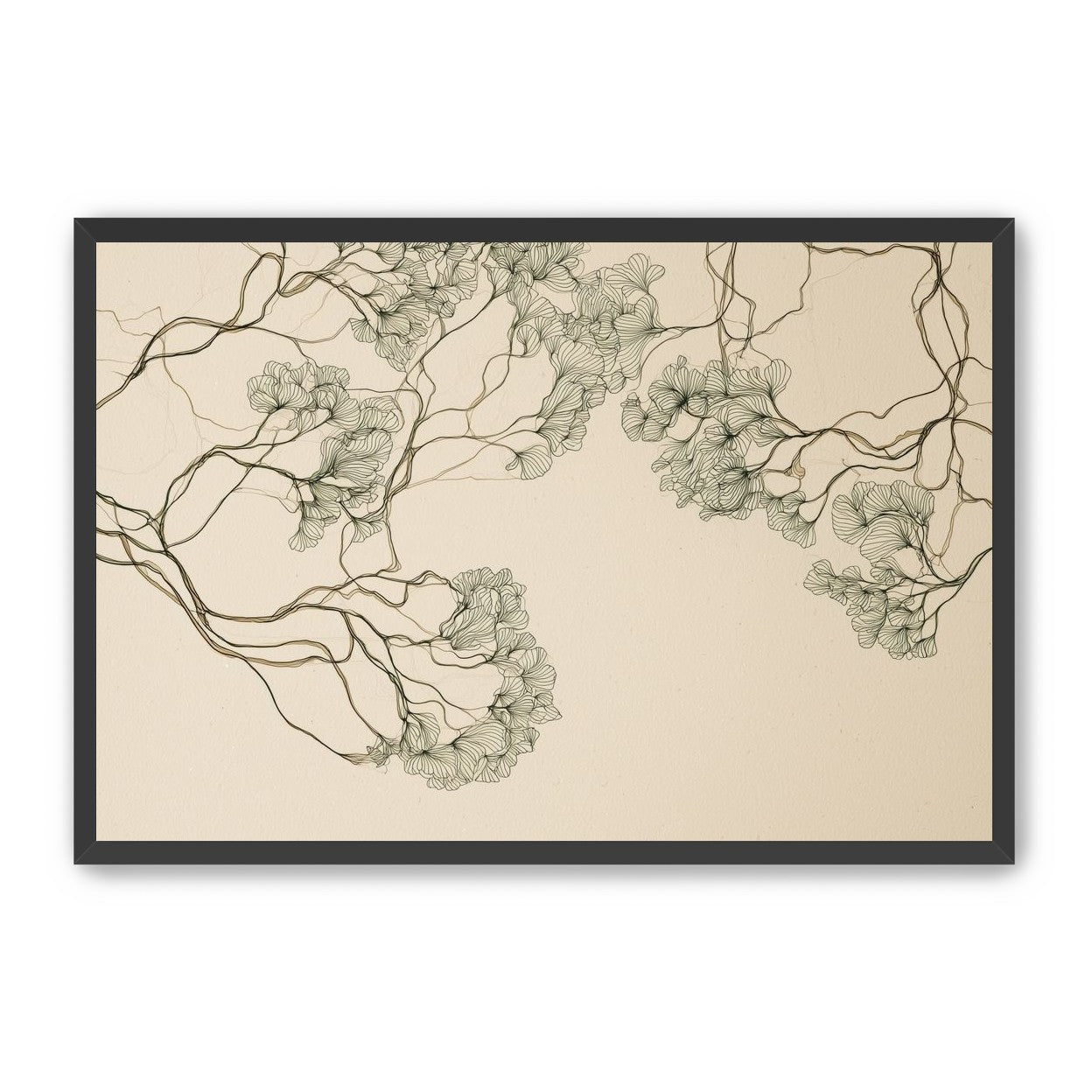 Trees Drawn in Continuous Lines