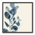 Eucalyptus in quiet blue