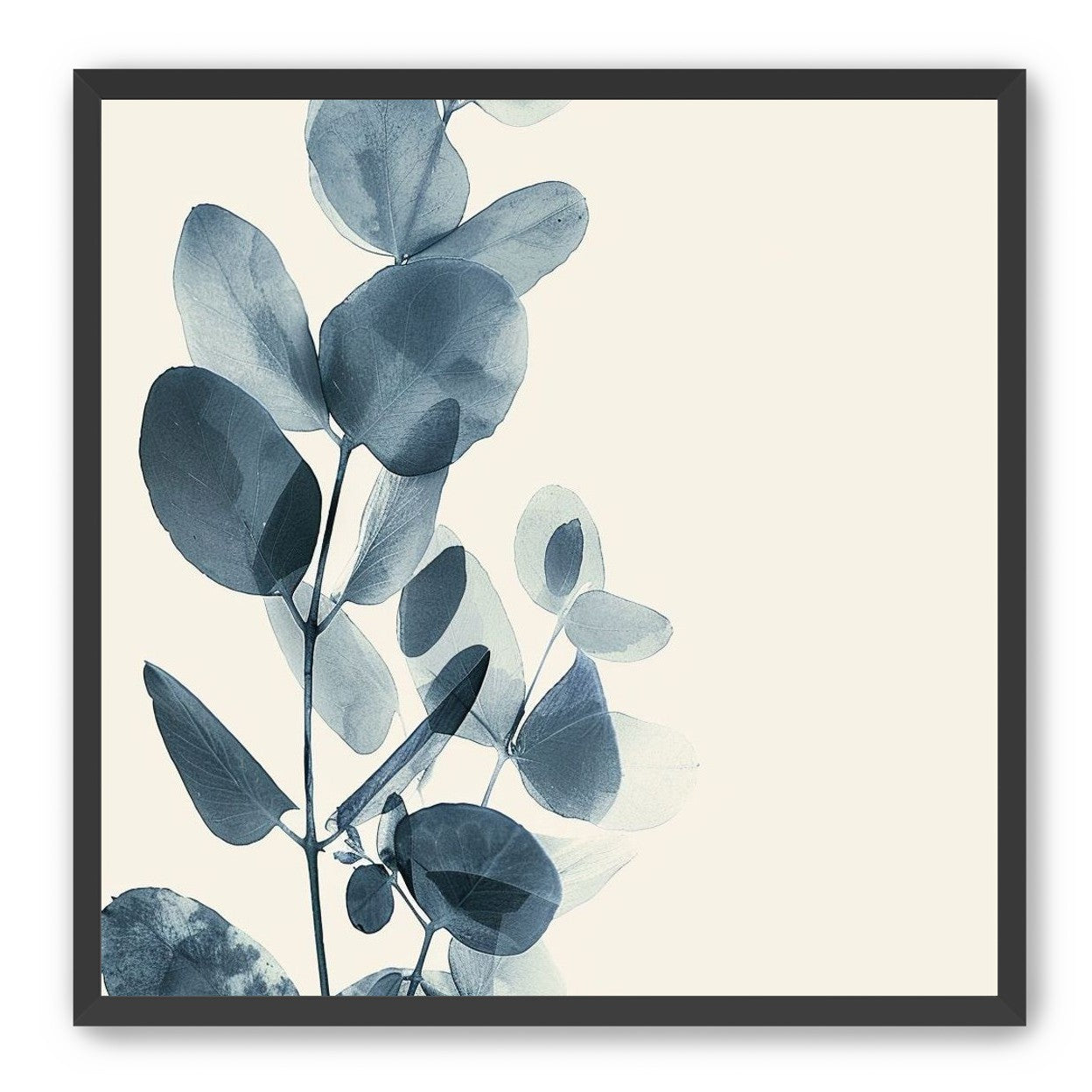 Eucalyptus in quiet blue