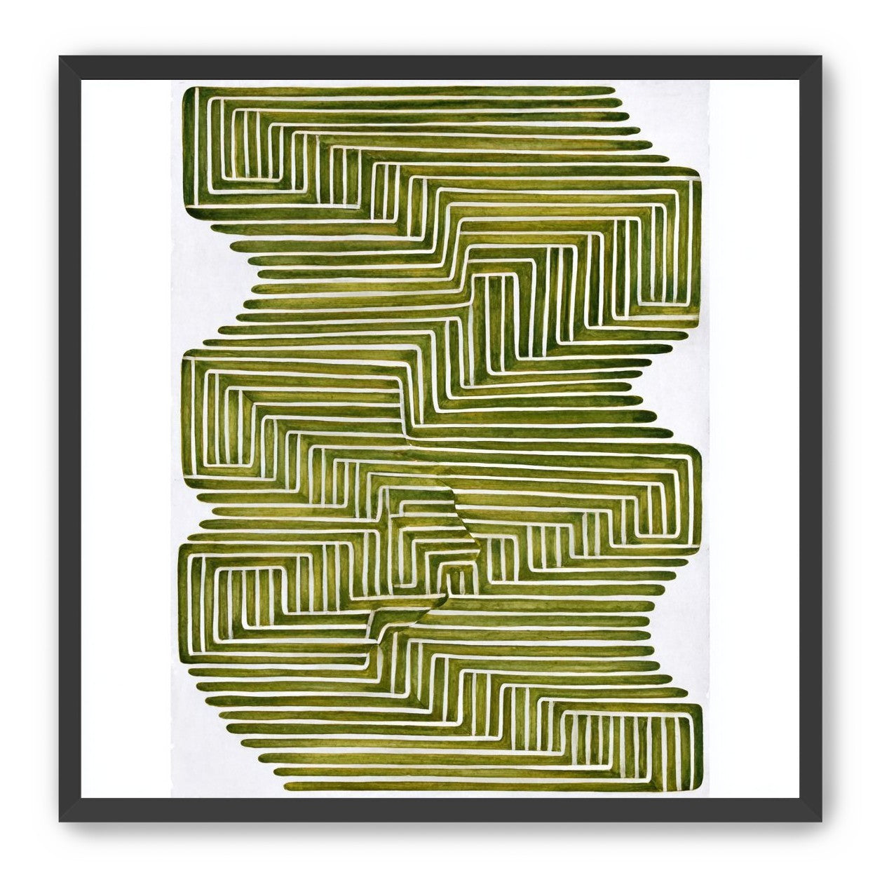 Olive bands in white quiet