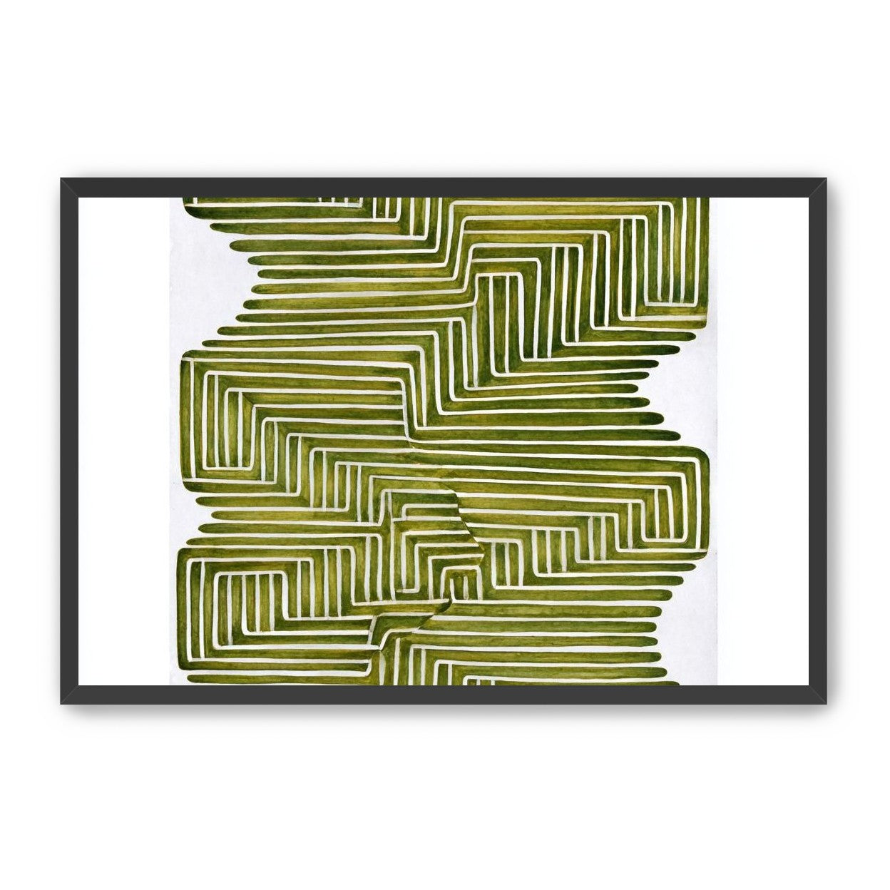 Olive bands in white quiet