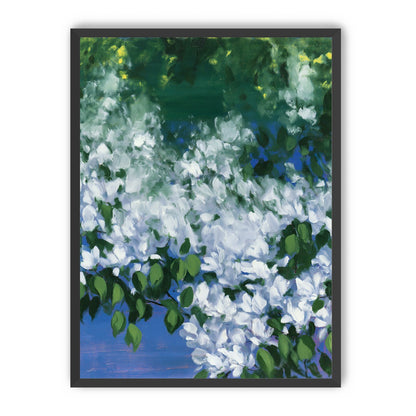 White blossoms over blue shade
