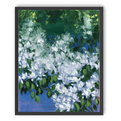 White blossoms over blue shade