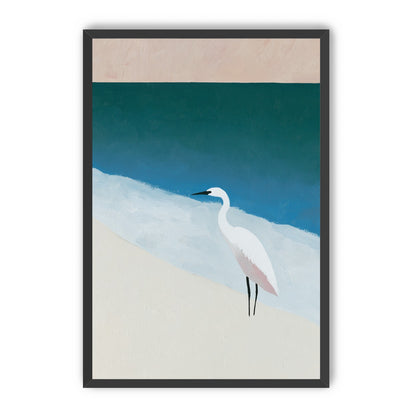 White egret at the shoreline
