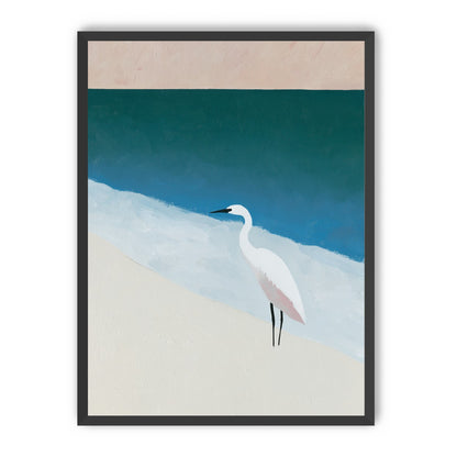 White egret at the shoreline