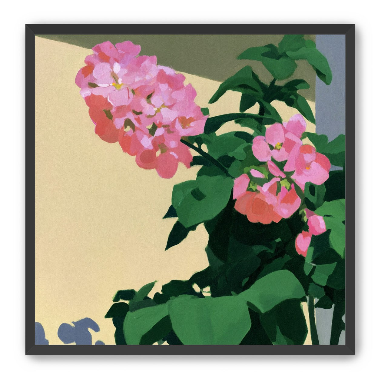Pink blooms in hard light
