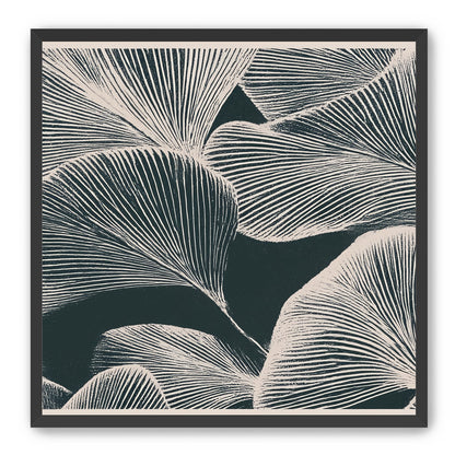 Pale veins on dark leaves