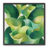 Overlapping curled green leaves