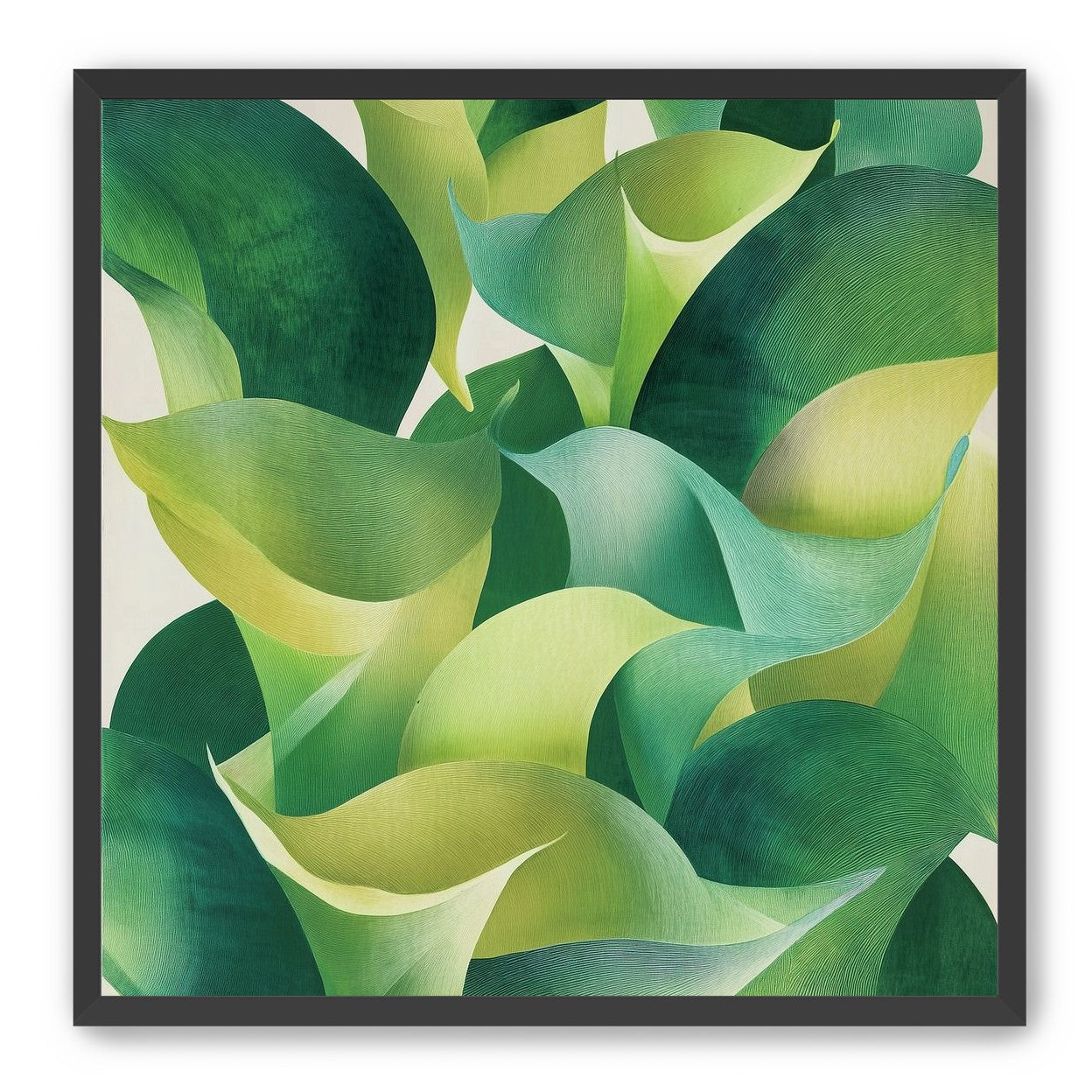 Overlapping curled green leaves