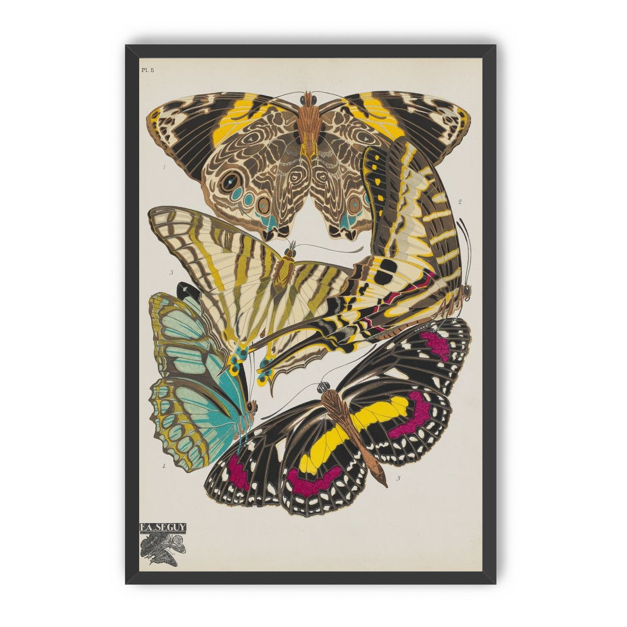 Butterflies among blank paper