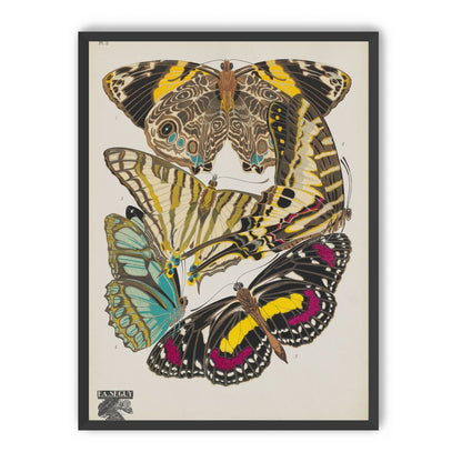 Butterflies among blank paper