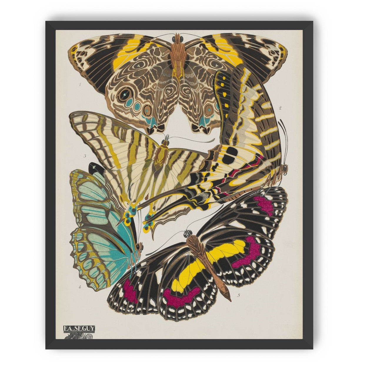 Butterflies among blank paper