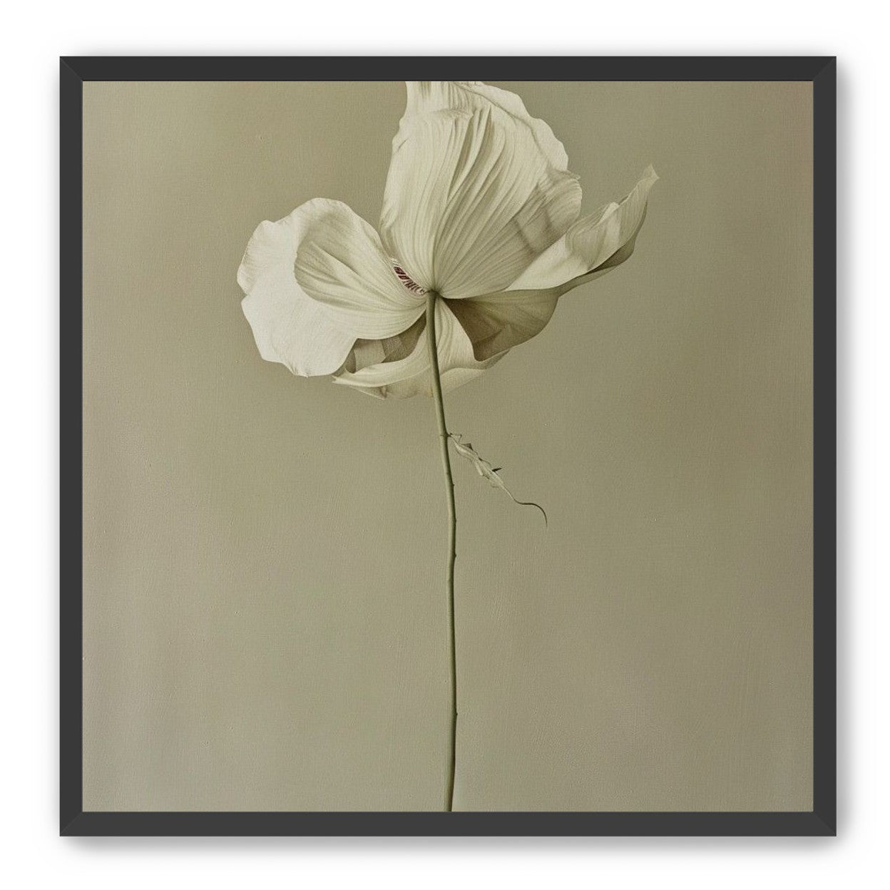 Ivory bloom in gray air