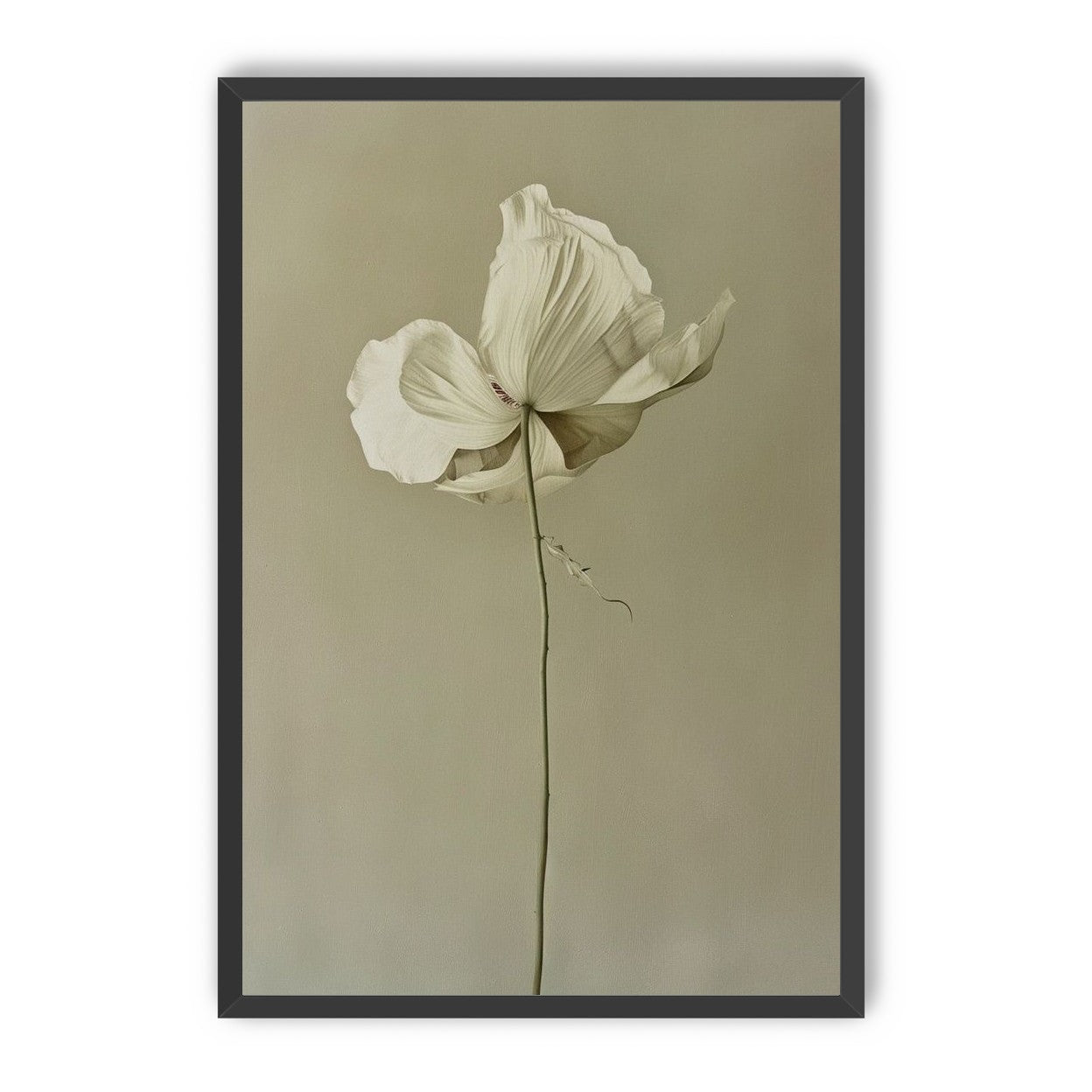 Ivory bloom in gray air