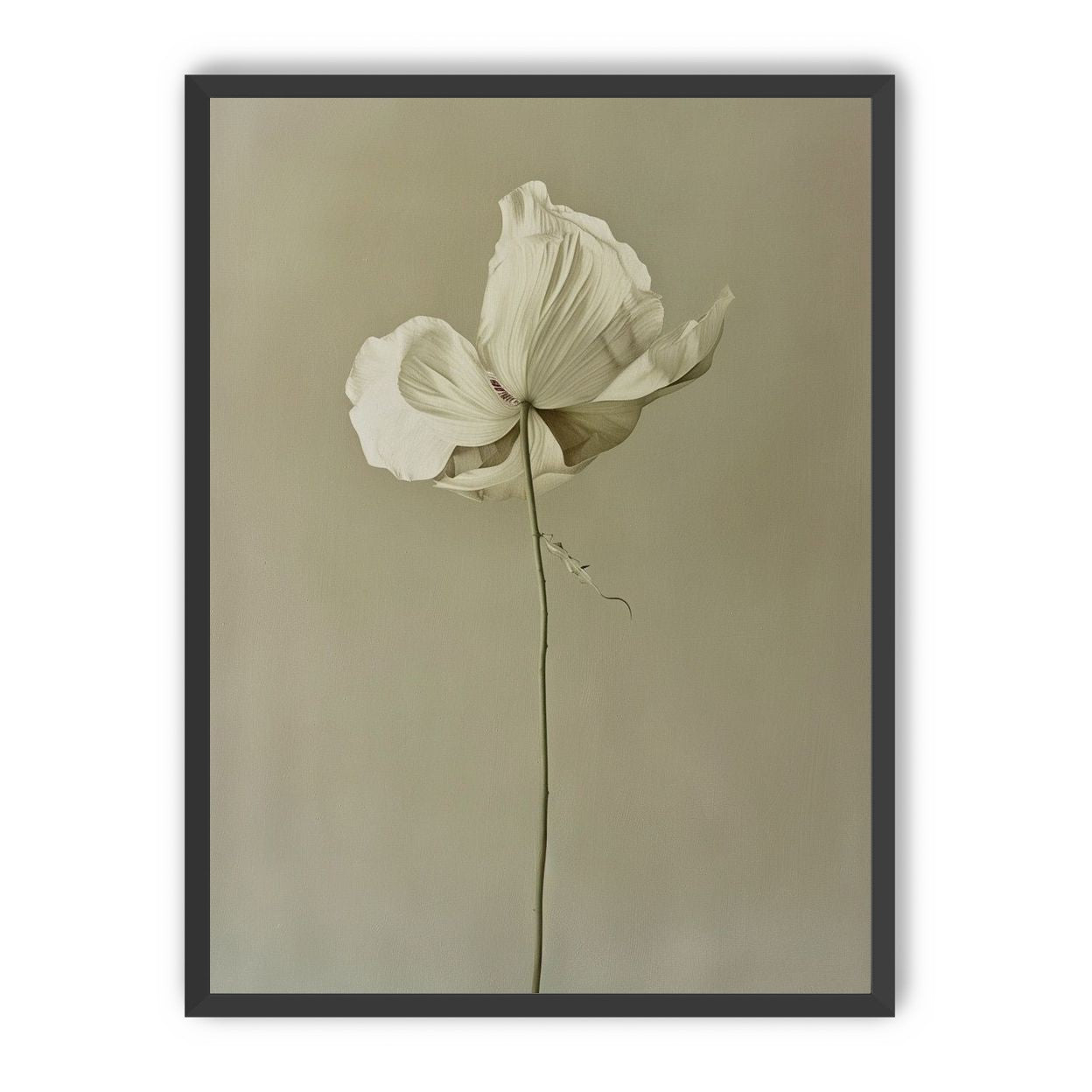 Ivory bloom in gray air