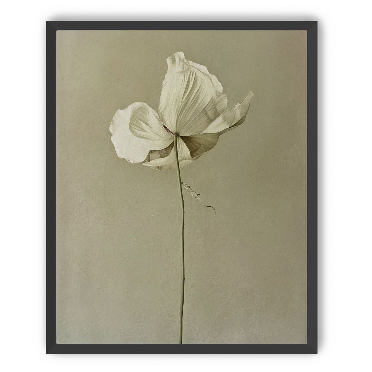 Ivory bloom in gray air