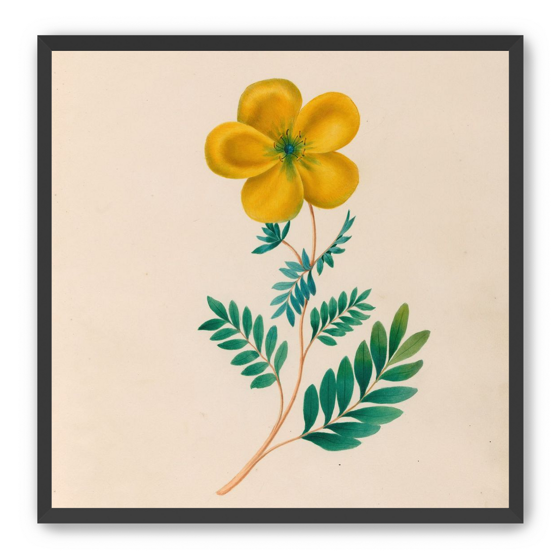 Yellow flower on pale paper
