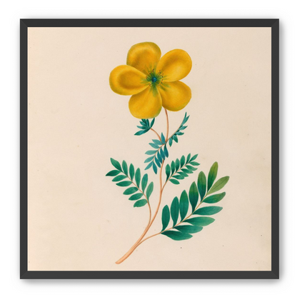 Yellow flower on pale paper