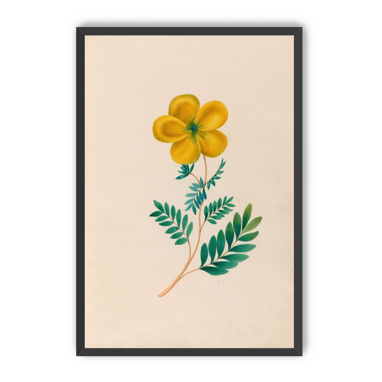 Yellow flower on pale paper