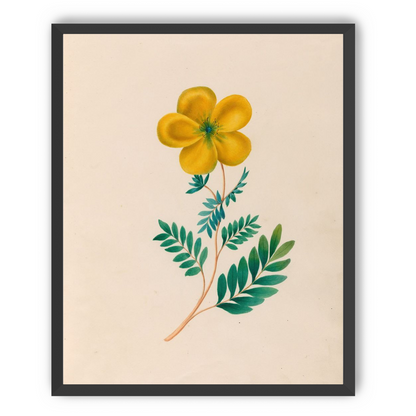 Yellow flower on pale paper