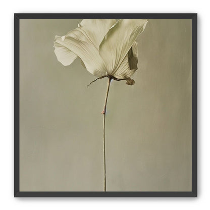 One flower and its hush
