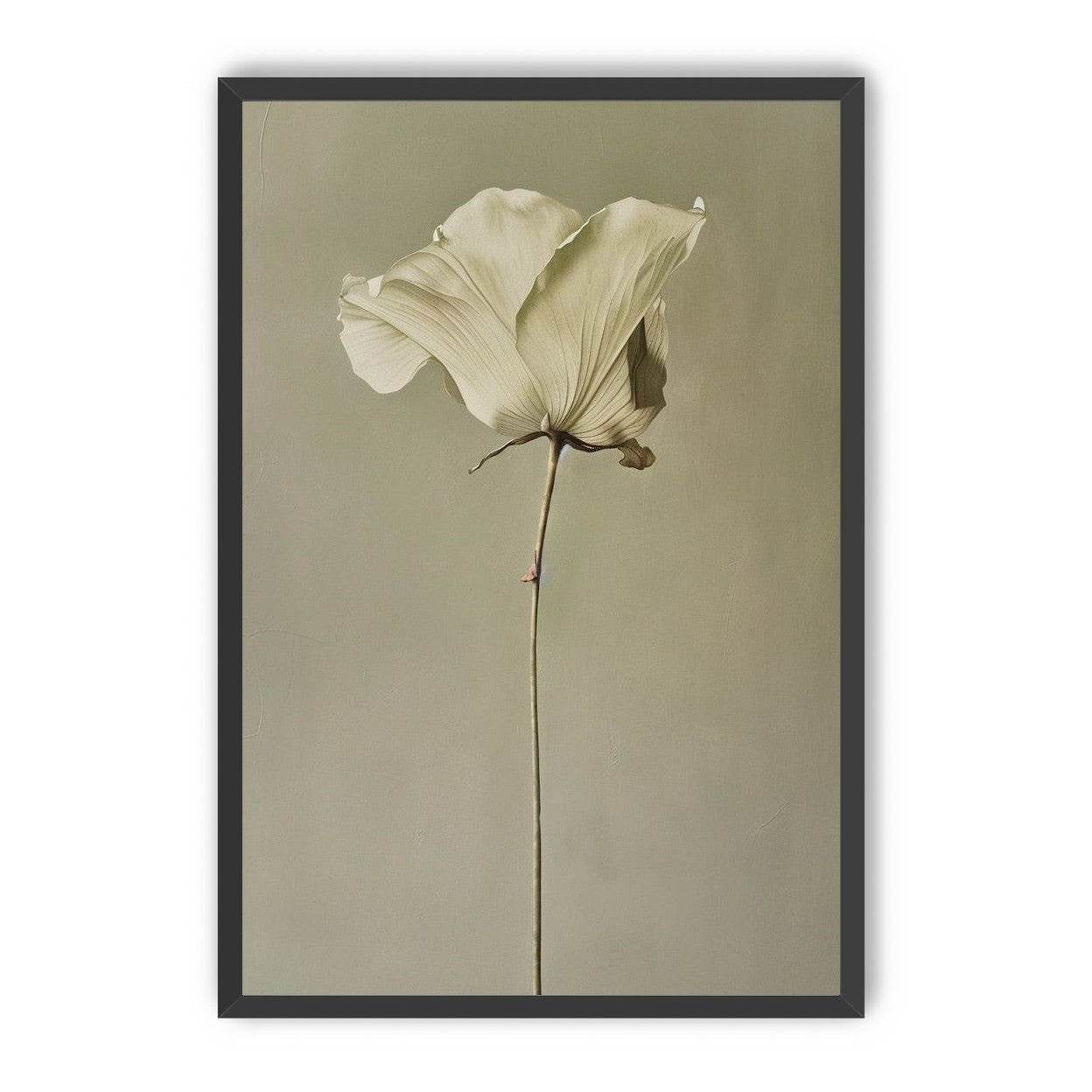 One flower and its hush