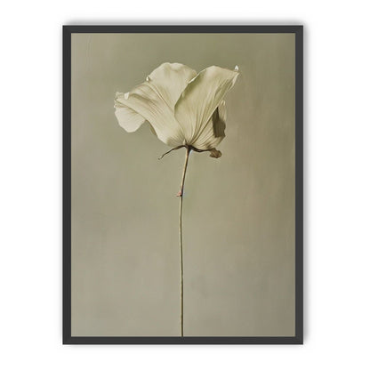 One flower and its hush