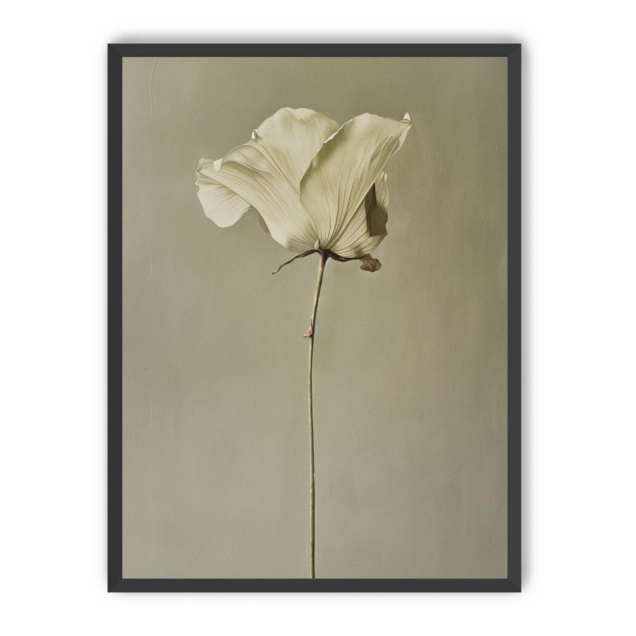 One flower and its hush