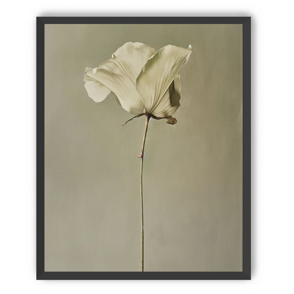 One flower and its hush