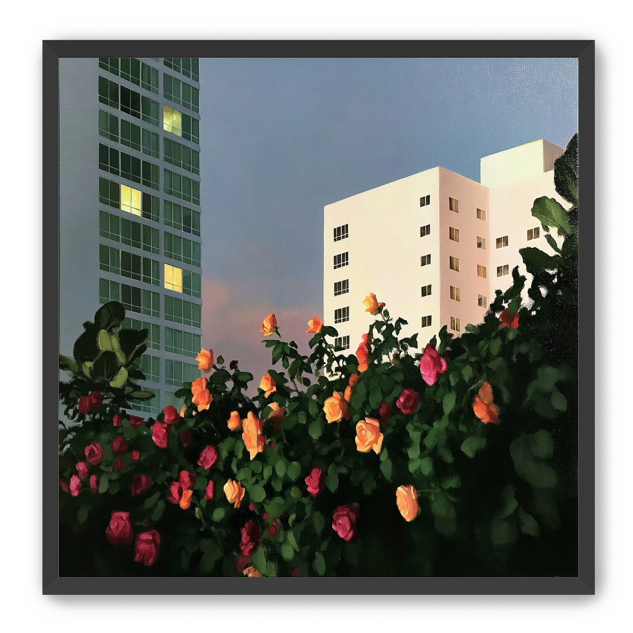 Roses below lit windows