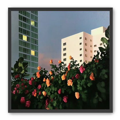 Roses below lit windows