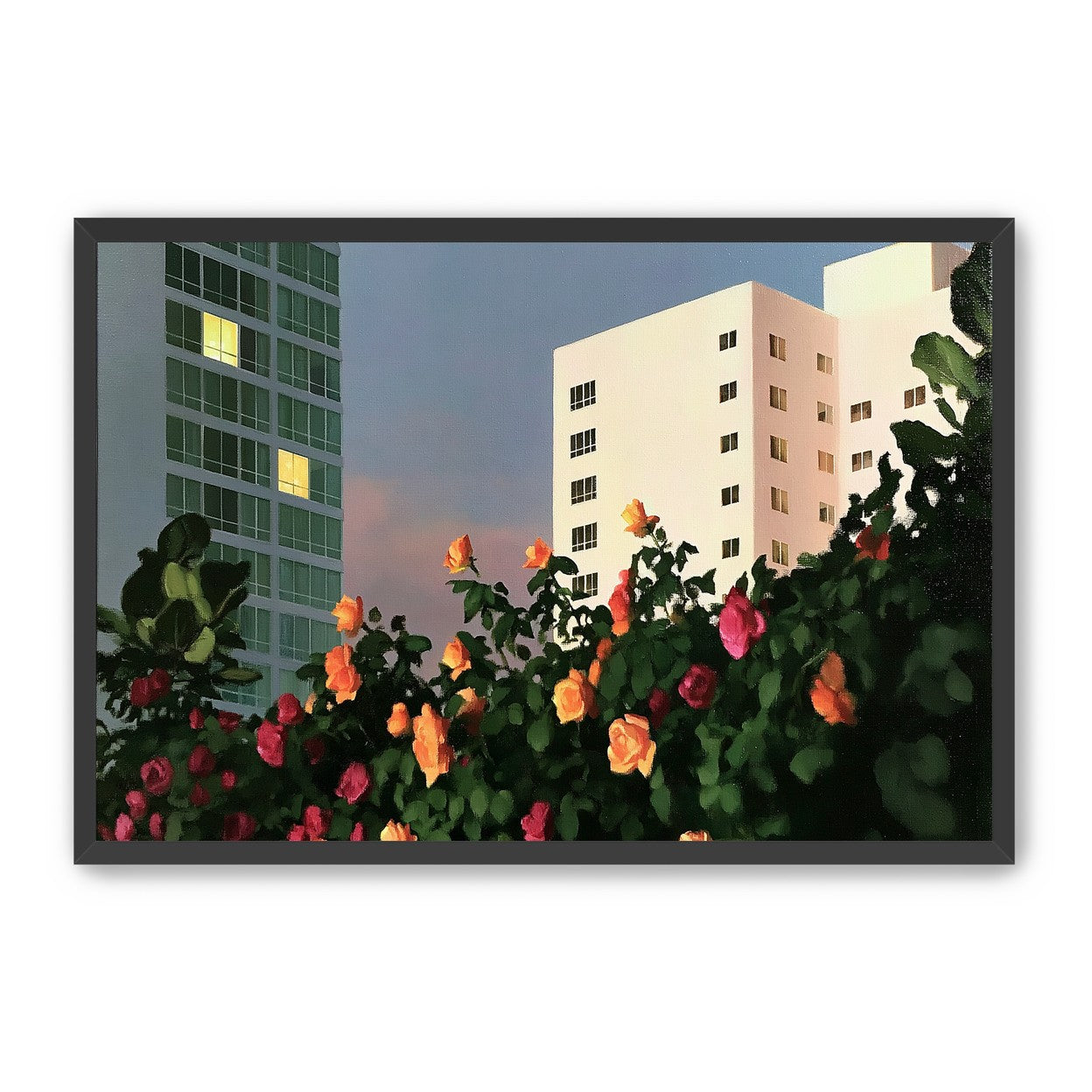 Roses below lit windows