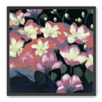 Flowers waking in the dark