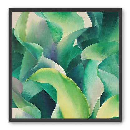 Calla lilies crowd the light