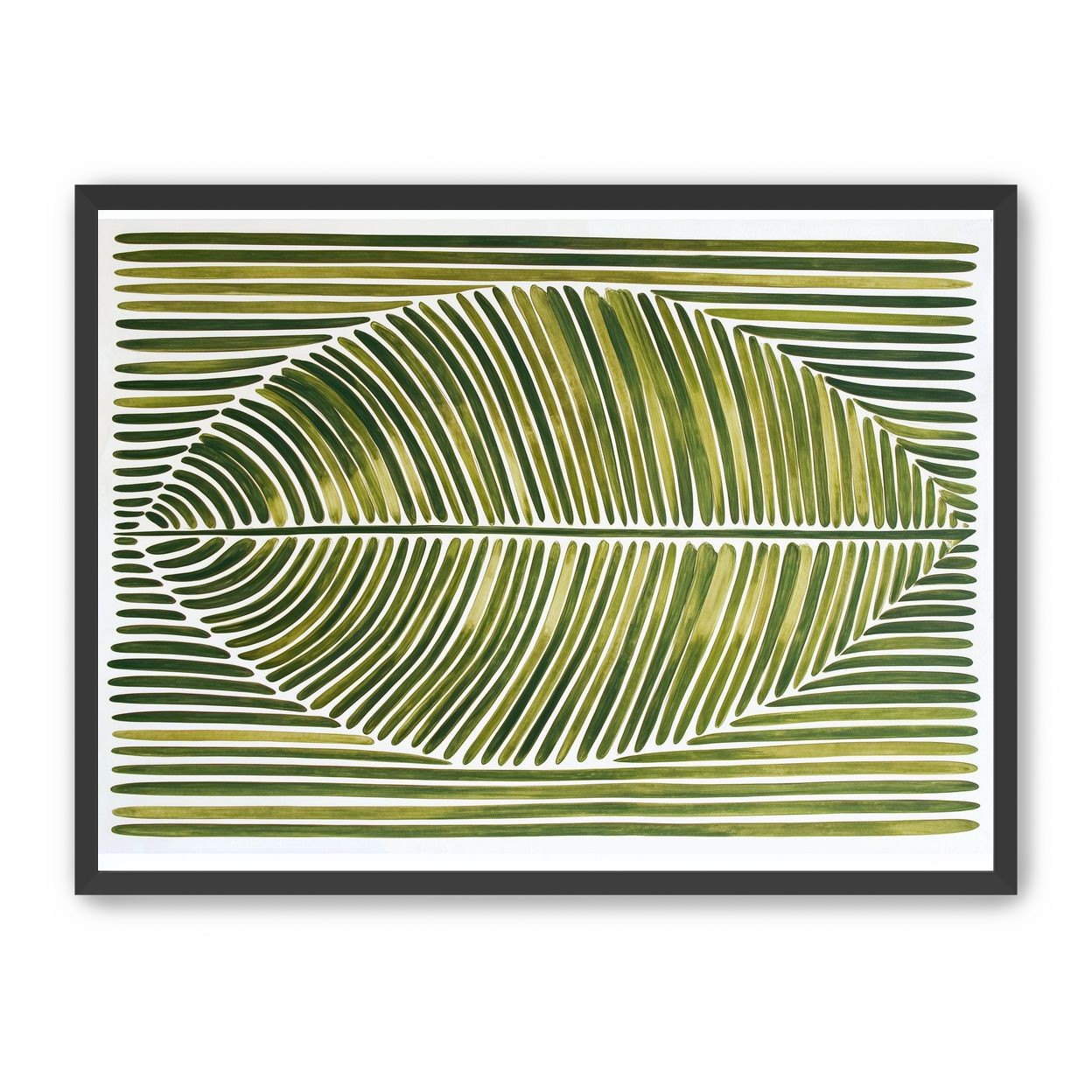 Palm frond in green bands