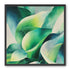 Calla lilies among green shadows
