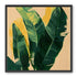 Green leaves in warm haze