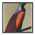 Bright bird on a branch